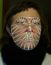 JasmineGuffond_SonicPotraitsForAuthorisedAccess